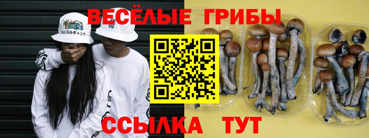 Псилоцибиновые грибы GOLDEN TEACHER Воткинск