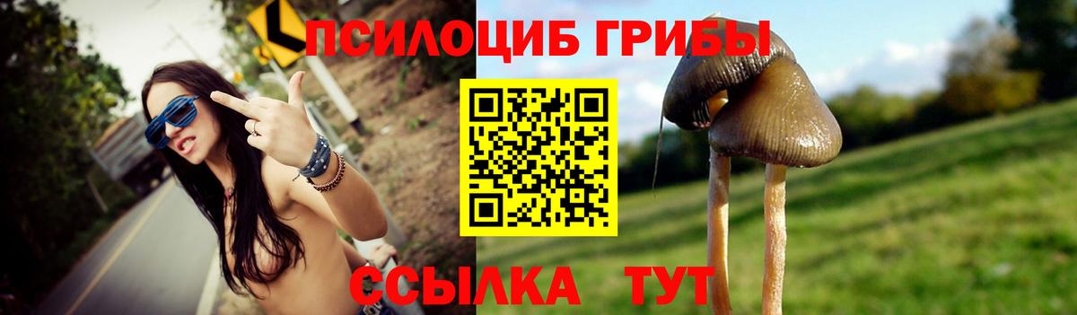 Воткинск  Галлюциногенные грибы мухоморы  Вход с VPN 