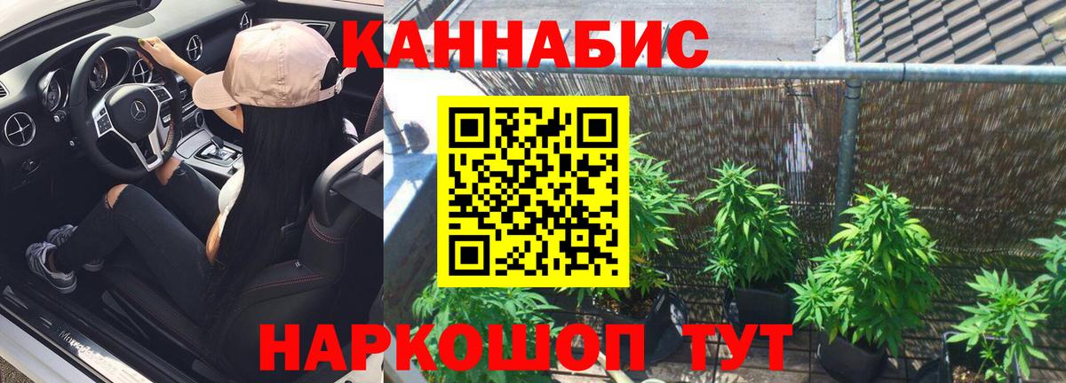 Марихуана конопля  Марихуана планчик  Воткинск  Вход с VPN  Бошки Шишки сатива 